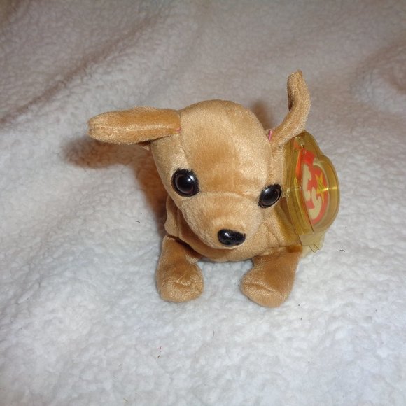 TY Beanie Baby Tiny The Chihuahua - Picture 1 of 11